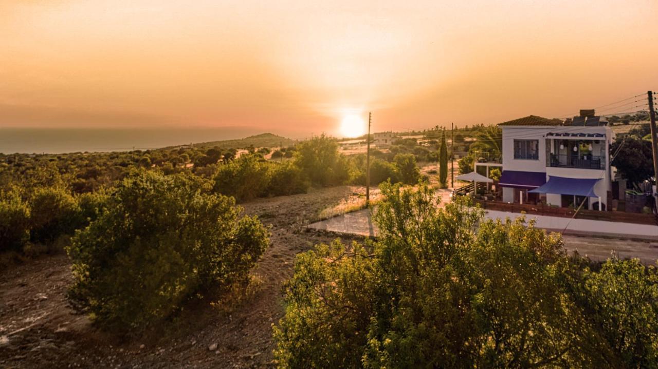 Villanelle Bed & Breakfast Welcomes Dog Lovers Only Τάλα Εξωτερικό φωτογραφία